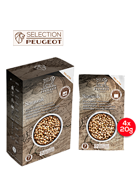 Sarawak - Peugeot Saveurs