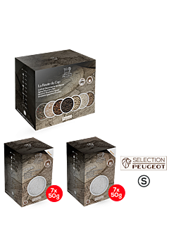 Rock Salt - Peugeot Saveurs
