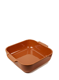 Appolia - Peugeot Saveurs