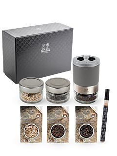 Maestro - Peugeot Saveurs