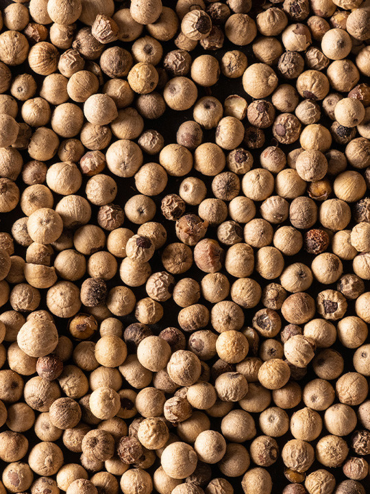 Multipack Poivres Standard